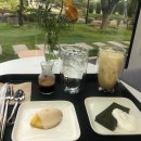 포레스트리 이미지