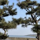 영종하늘도시25호 소공원 이미지