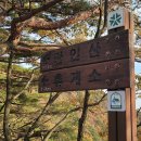 대전둘레산길(2구간) 이미지