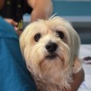 샐리동물병원 이미지