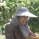 혜광농장 이미지