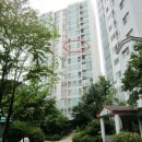 효성온누리약국 이미지