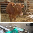 호영농장 이미지