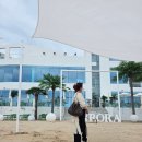 [포항 핫플레이스] 드디어 오픈! 동해안 역대급 바다뷰 브런치 카페 & 펍 '아우로라(AURORA)' 솔직 후기 🌊✨