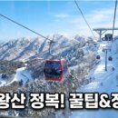 대천카부분정비업소 | 계곡백숙 가격 수심 예약 및 이용 주의사항 총정리