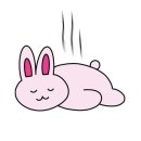 제주조우아 조수 이미지