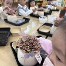 활짝핀유치원 | 소풍~ 핑크트리안심기 유치원아이들과 재미있는 원예...작고 귀여운 🖐️손으로 트리안 심어요. 마음에핀꽃:)