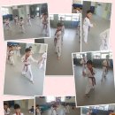 계룡태권도 이미지