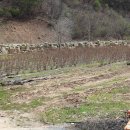 한태농장 이미지