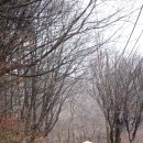 나무의료기 이미지