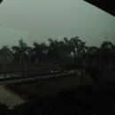 팰리스호텔 이미지