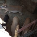 자립농장 이미지