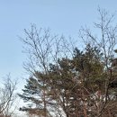 영실 휴게소옆 화장실 이미지