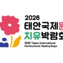 뱃돼지에 기름칠 네이버블로그