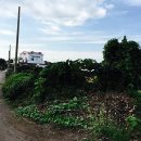 뱅디가름게스트하우스 이미지