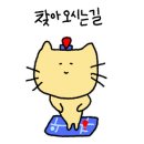 마르멜라든