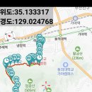 25.7.7.개금역.엄광산둘레길.서대신역 (혼산)털개머루 외 이미지