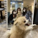 썸데이 게스트하우스 이미지