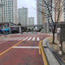 김해 강아지분양 두부네 하루 이미지