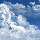 박영철목장 이미지