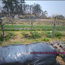 덕촌농장 이미지