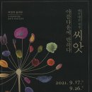백두대간 자생씨앗 아름다움에 반하다 이미지