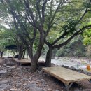 산동초등학교 | 밀양오토캠핑장(명품나무그늘캠핑장)