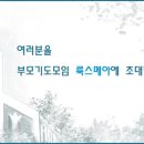 룩스메아