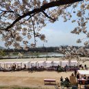 금호강 둔치 축구장 이미지