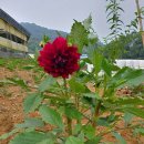 신성축산 이미지