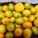 대진농장 이미지