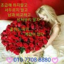 매니아공인중개사사무소 네이버블로그