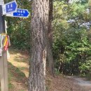 탑정호가 이미지