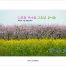 복사꽃피는마을 이미지