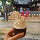 문꼬치 | 전주한옥마을 간식 맛집 문꼬치문강정 솔직후기