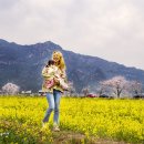 유채꽃향기처럼 이미지