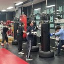 병점센트럴복싱 이미지