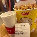 국수나무 장기점 이미지