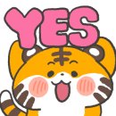 독산 팀타이거 복싱짐 이미지