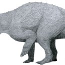 트리케라톱스-2 이미지