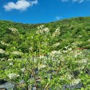 송전농장 이미지