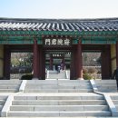 영삼사 Daum카페
