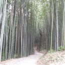 정연혜행정사사무소 | 오인교의 전라도누정기행-항일 의적의 광주 율리전사(栗里田舍)