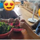 드림재가복지센타 | 울산재가복지 드림재가노인복지센터와의 따뜻한 하루