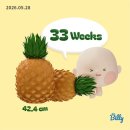 임신 33주~35주 [ 우리산부인과 산전마사지 / 막달검사 / 아기용품 준비 / 골반통 / 아기 머리 끼인...