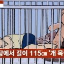 아들은 숨졌는데, 방치하고 고기를 구워먹다. 이미지