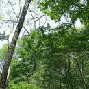 플레이샵 이미지