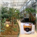 NJ펜션 | [고창] 온실카페 디온실 컨서버토리 후기｜자연 속 힐링 감성카페