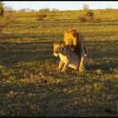 코뿔소PC 이미지