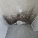 진흥더루벤스(아) | 진주 진흥루벤스 아파트 구축 탄성코트 시공 후기 (예니탄성)